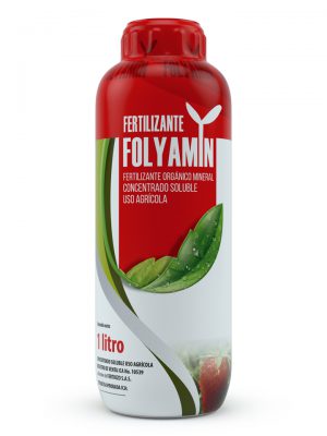 FOLYAMIN
