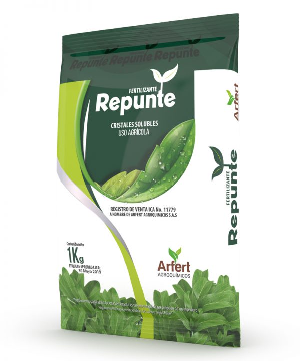 REPUNTE