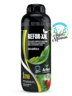 REFOR-XAL